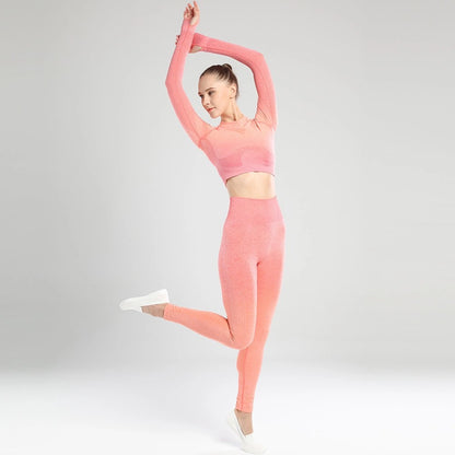 Seamless Fitness Yoga Suit