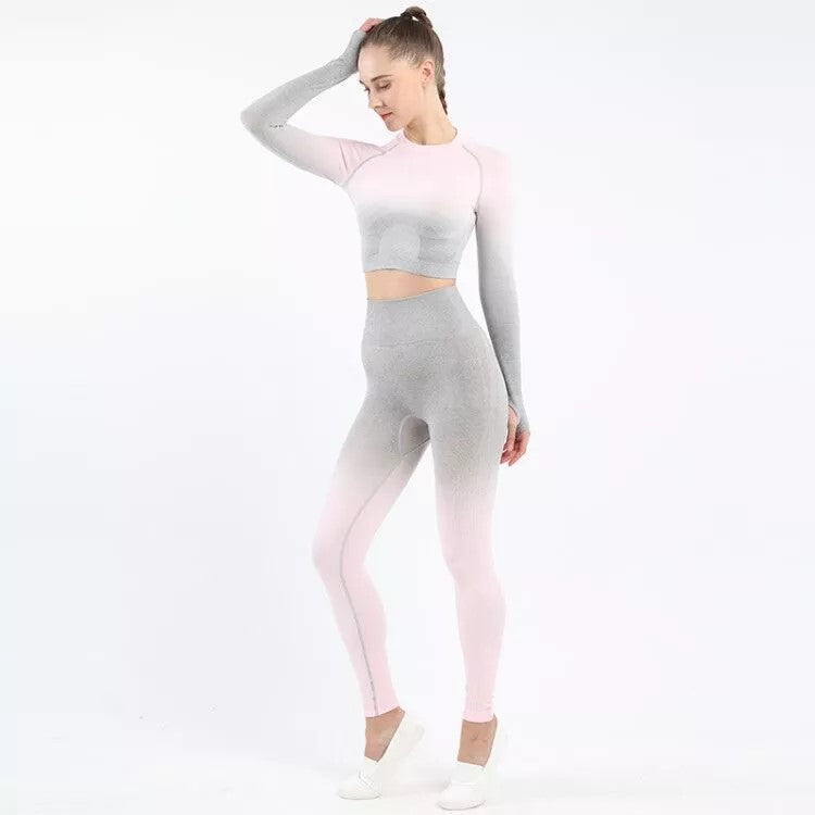 Seamless Fitness Yoga Suit